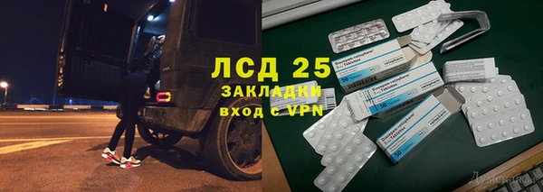 шишки Нея