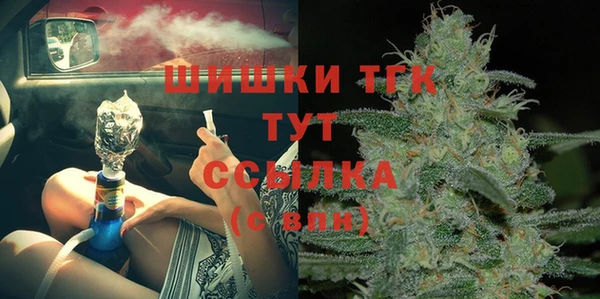 молекула духа Бежецк