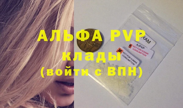 шишки Нея
