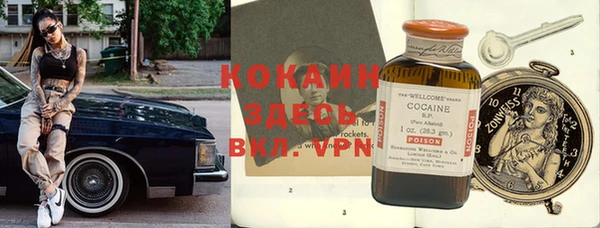 шишки Нея