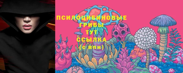 шишки Нея