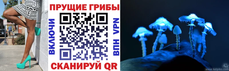 блэк спрут вход Пыталово Галлюциногенные грибы прущие грибы купить