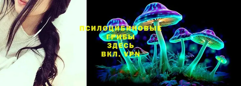 Псилоцибиновые грибы Psilocybine cubensis  закладки  Пыталово 